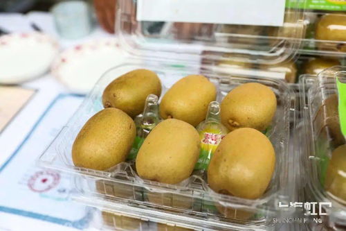 助力脫貧攻堅(jiān)，品味地道風(fēng)物——魯迅公園特色農(nóng)產(chǎn)品直銷活動正式啟動