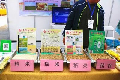 濟(jì)南都市農(nóng)產(chǎn)品博覽會(huì) 初級(jí)農(nóng)產(chǎn)品閃耀登場(chǎng)，優(yōu)秀企業(yè)與十佳商品評(píng)選火熱進(jìn)行